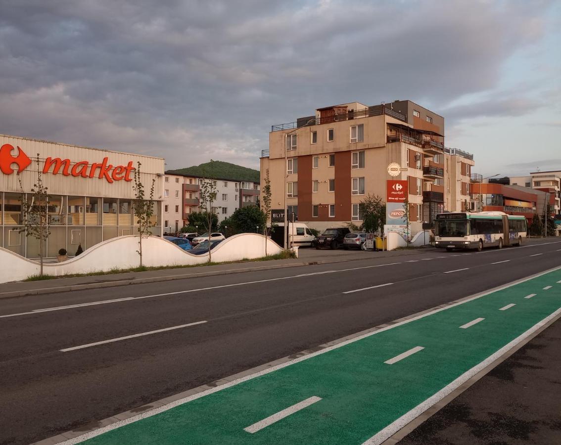 FloreştiApartament Danielaアパートメント エクステリア 写真
